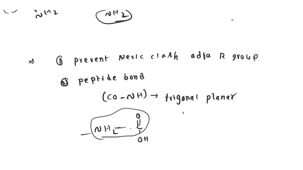 solved-olbamhgadc-question-52-qlueston-b-minimizes-steric-hindrance