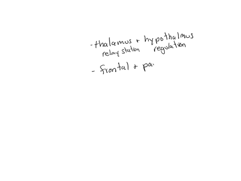 professor-straker-tells-her-class-that-for-humans-intelligence-scores-correlate-with-the-surface-area-of-the-______-group-of-answer-choices-thalamus-and-hypothalamus-frontal-and-parietal-cortex-cerebe