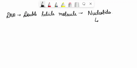 nucleotides-bind-to-each-other-in-using-1-of-two-different-types-of-bonds-depending-on-which-strand-the-other-nucleotide-is-on-the-same-or-the-opposite-which-type-of-bond-connects-bases-on-t-22468