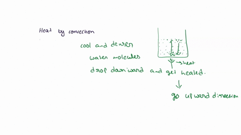which-statement-best-explains-heating-by-convection-land-and-ocean-absorb-and-re-emit-heat-from-the-sun-sunlight-travels-through-space-without-the-aid-of-fluids-or-solids-warm-air-rises-and-56556