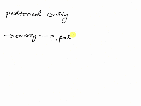 the-ovulated-oocyte-is-cast-into-the-peritoneal-cavity-not-directly-into-the-uterine-tubes-true-false-31259