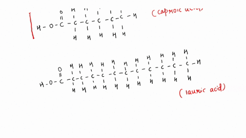another-key-component-of-lipids-is-fatty-acid-fatty-acid-recognizable-by-its-carboxyl-group-caidox-c-0-h-eroud-butyric-acid-h-0-c-8-h-caproic-acid-h-0-c-c-h-lauric-acid-h-0-c-drav-box-around-64667