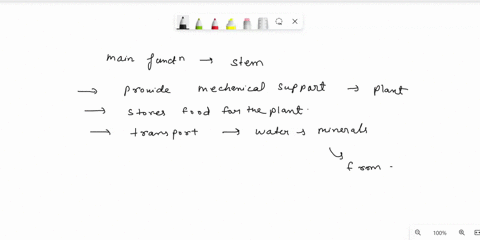 the-three-main-functions-of-stems-are-a-support-conduction-and-photosynthesis-b-support-anchorage-2-24988