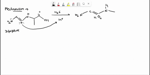 10-points-proteins-are-composed-of-long-chains-of-amino-acids-linked-together-through-amide-bonds_-in-the-body-protease-enzymes-break-down-proteins-into-the-individual-amino-acids-by-hydroly-79654