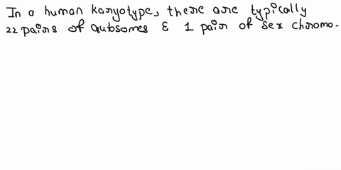 1what-is-karyotype-get-answer-to-your-question-and-much-more-how-many-autosomes-are-in-this-human-karyotype-how-many-sex-chromosomes-get-answer-to-your-question-and-much-more-3-if-the-last-p-67195