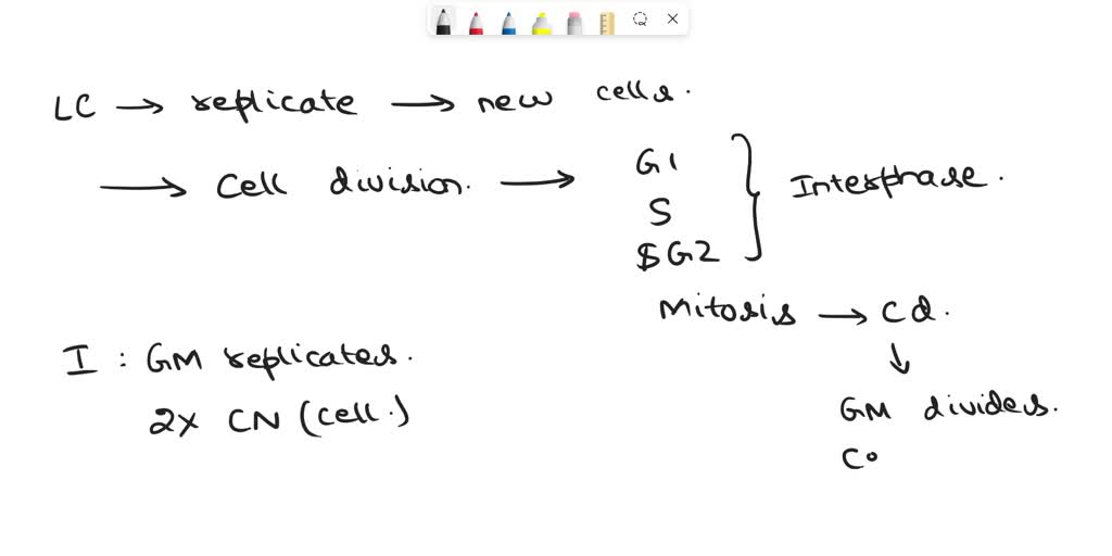 SOLVED: A cell completed interphase and mitosis, but fails to complete ...