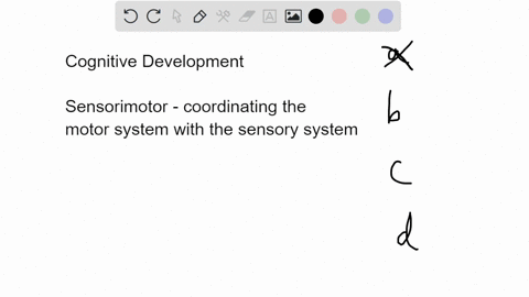 indicate-which-stage-of-cognitive-development-is-illustrated-by-each-of-the-following-examples-cho-5-19275