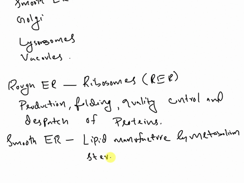 what-is-the-function-of-the-rough-endoplasmic-reticulum-2-what-is-the-function-of-the-smooth-endoplasmic-reticulum-3-what-is-the-function-of-the-golgi-apparatus-4-what-is-the-function-of-a-l-66292