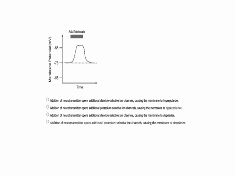 the-cells-from-the-same-organism-in-the-previous-question-are-briefly-exposed-to-a-molecule-that-triggers-the-opening-of-ion-channels-that-are-selective-for-either-chloride-or-potassium-ions-03135