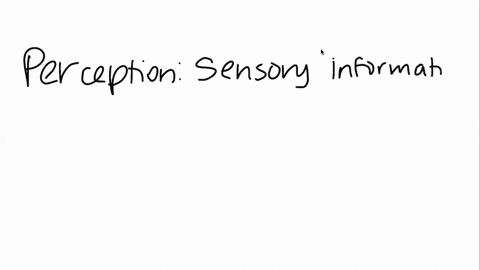 ________-occurs-when-sensory-information-is-organized-interpreted-and-consciously-experienced-a-sens-46308