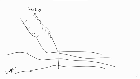 during-dna-replication-helicase-unzips-the-double-stranded-dna-helix-bit-by-bit-why-is-the-lagging-strand-synthesised-in-discrete-sections-while-the-leading-strand-is-synthesised-continuousl-57885