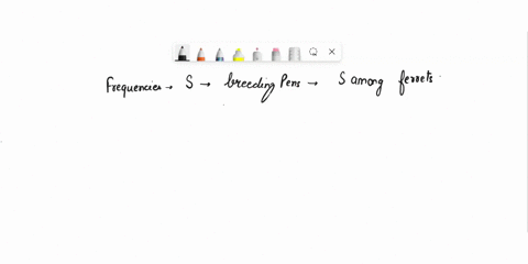 q13-how-do-the-frequencies-of-allele-s-in-the-breeding-pens-compare-to-the-frequency-of-allele-s-among-ferrets-in-the-field-population-they-are-exactly-the-same-as-the-field-populations-freq-79668