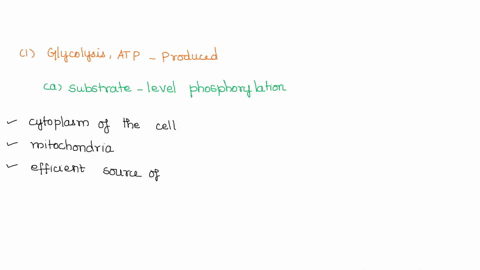 question-1-during-glycolysis-atp-is-produced-through-substrate-level-phosphorylation-oxidative-phosphorylation-photophosphorylation-direct-phosphorylation-question-2-which-two-processes-make-43102