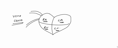 which-heart-chamber-does-blood-enter-and-exit-respectively-1-right-atrium-ad-left-ventricle-2-right-ventricle-and-left-atrium-3-right-ventricle-and-right-atrium-4-right-ventricle-and-right-v-85714