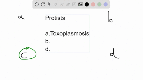 which-of-the-following-protists-is-not-a-human-pathogen-a-toxoplasma-b-trichomonas-c-paramecium-d-gi-71475