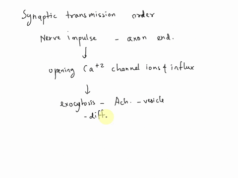 question-605-points-place-the-following-events-in-synaptic-transmission-at-a-cholinergic-synapse-in-order-a-a-postsynaptic-potential-is-producedb-voltage-gated-calcium-channels-open-and-calc-85989