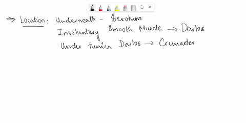 discuss-how-the-human-body-regulates-blood-glucose-levels-what-hormones-are-involved-in-maintaining-blood-glucose-homeostasis-under-what-conditions-are-these-hormones-released-what-do-they-d-37238