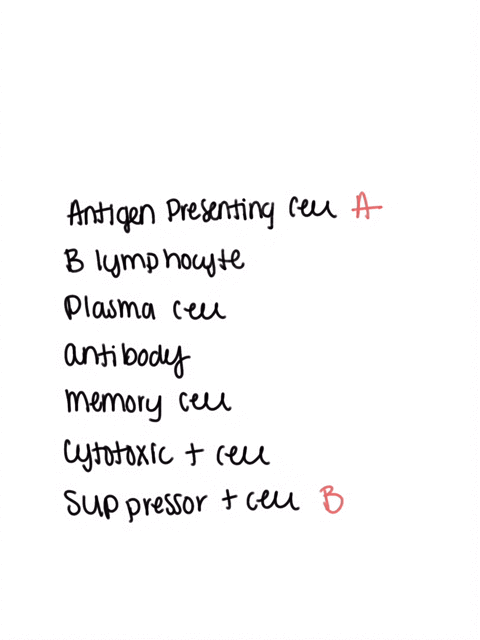 match-each-description-to-the-correct-structure-antigen-presenting-cell-engulfs-and-digests-pathogens-and-then-displays-small-pieces-on-its-surface-b-lymphocyte-urns-off-innate-and-acquired-54616