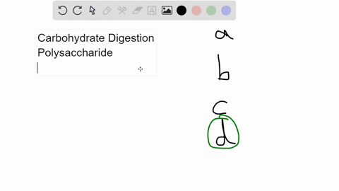 what-are-the-end-products-of-carbohydrate-digestion-a-chylomicrons-b-amino-acids-c-free-fatty-acids-d-monosaccharides-45395