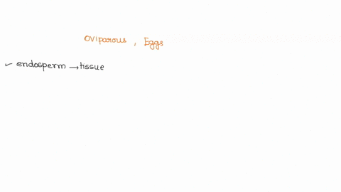 oviparous-egg-laying-animals-have-internal-fertilization-sperm-cells-encounter-eggs-within-the-females-body-yolk-andor-albumen-is-are-provided-to-the-embryo-and-a-shell-is-then-deposited-aro-42122