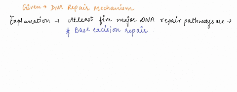 describe-a-dna-repair-mechanism-18985