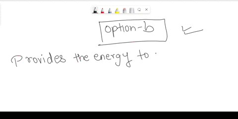 in-mitochondria-exergonic-redox-reactions-a-are-the-source-of-energy-driving-prokaryotic-atp-synth-2-77213