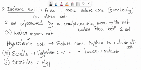 1-which-of-the-following-occurs-when-a-cell-is-placed-in-an-isotonic-solution-a-water-moves-by-osmosis-out-of-the-cell-b-the-cell-swells-c-the-cell-shrinks-d-none-of-the-above-2-how-does-osm-69432