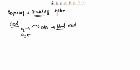 which-of-the-following-respiratory-systems-is-not-closely-associated-with-a-blood-supply-a-the-lun-2-69573