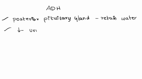 if-a-person-were-dehydrated-how-would-the-amount-of-adh-released-by-the-posterior-lobe-of-the-pituitary-gland-change-86463