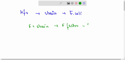 briefly-describe-the-state-of-the-f-factor-in-an-hfr-f-f-and-f-strain-of-e-coli-69083