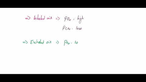 in-which-of-the-following-would-the-least-difference-between-partial-pressure-of-oxygen-po2-and-partial-pressure-of-carbon-dioxide-pco2-be-observed-1-inhaled-air-2-exhaled-air-tissues-heart-94048