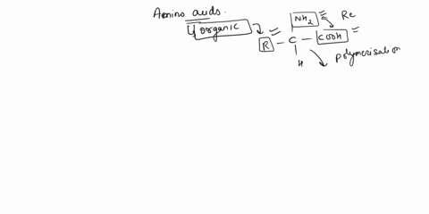 the-amino-acids-with-charged-side-chains-include-a-aspartate-glutamate-iysine-and-arginine-8-aspartate-glutamate-and-glycine-aspartate-glutamate-iysine-glycine-and-arginine-d-alanine-and-ser-22695