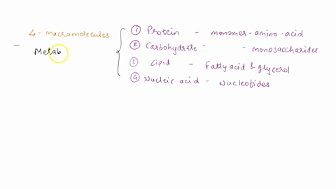 1a-what-are-the-four-groups-of-organic-biological-macromolecules-list-the-monomers-and-the-polymers-for-each-one-what-is-the-reaction-called-that-builds-a-polymer-and-breaks-down-a-polymer-1-20927