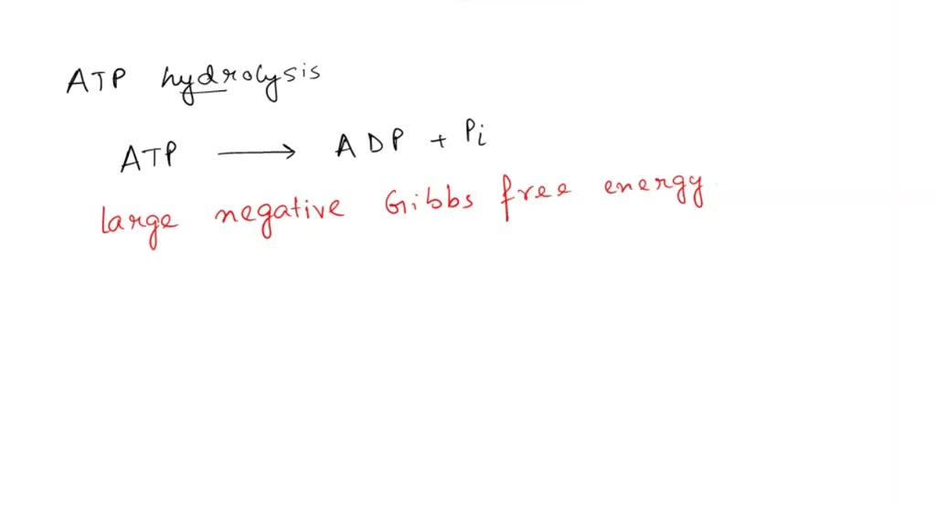 SOLVED: What process can increase the phosphoryl-transfer potential of ...