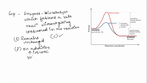 which-of-the-following-are-accurate-statements-about-enzymatic-reactionsselect-any-that-applya-the-addition-of-reaction-specific-enzymes-can-increase-reaction-rateb-an-enzyme-reduces-the-act-13769