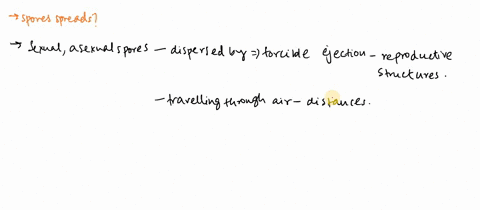 how-do-spores-spread-78664