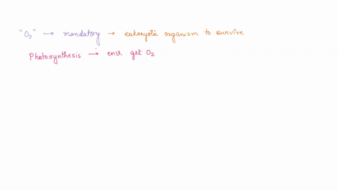 chordata-list-other-characteristics-defining-phylum-56565