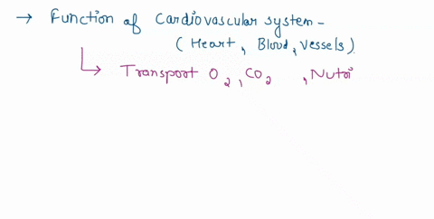 one-function-of-the-cardiovascular-system-is-t0-select-one-transport-nutrients-and-oxygen-to-the-cells_-secrete-hormones-breakdown-food-into-small-molecules-that-can-be-absorb-into-the-blood-24195