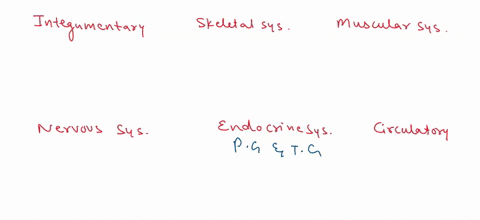 drag-each-label-to-the-proper-position-to-identify-the-organs-represented-by-the-organ-system-image-pituitary-gland-thyroid-gland-tonsils-ovaries-thymus-adrenalglands-testes-skin-intestines-59004