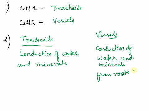 study-diagrams-and-answer-questions-that-follow