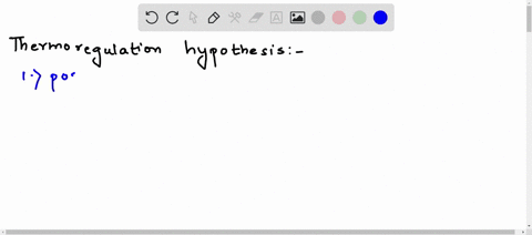 the-thermoregulation-hypothesis-states-that-bipedalism-evolved-to-allow-hominins-to-cool-down-during-the-hottest-hours-of-the-day-around-noon-to-test-this-hypothesis-try-holding-up-your-palm-24932