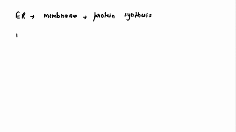 write-the-function-of-the-following-nucleus-endoplasmic-reticulum-mitochondria-ribosome-76875