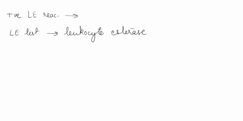 why-is-it-possible-to-have-a-positive-le-reaction-and-not-see-any-leukocytes-in-the-urine-microscopic-examination-15-state-the-primary-condition-required-for-the-formation-of-casts-1-mark7-w-47826