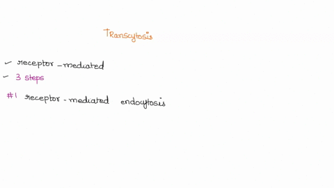 list-the-steps-in-transcytosis-in-a-cell-of-the-gi-tract-that-aid-establishing-the-the-babys-immune-system-with-antibody-from-mother-43145
