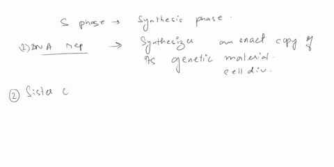 at-what-phase-of-the-cell-cycle-does-the-genetic-material-double-35778