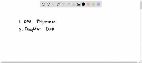 1-the-enzyme-that-can-replicate-dna-is-called-2-after-replication-is-complete-the-new-dnas-called-are-identical-to-each-other-3-the-new-dna-strand-that-grows-continuously-in-the-5-to-3-direc-12936