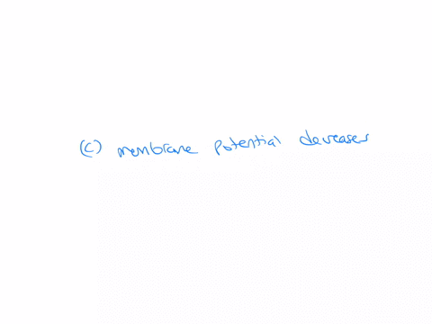 which-event-occurs-during-neuronal-depolarization-a-membrane-potential-returns-to-normal-b-cations-leave-the-cytosol-c-membrane-potential-decreases-d-plasma-membrane-becomes-less-permeable-e-membrane-