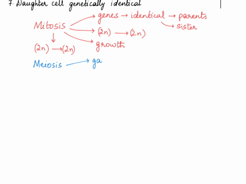 mitosis-1-purpose-of-process-in-multicellular-organisms-2-number-of-daughter-cells-produced-3-number-of-chromosomes-in-parent-cell-human-4-number-of-chromosomes-in-one-daughter-cell-human-5d-44235