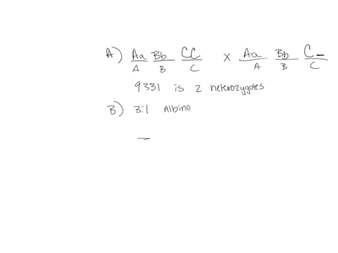 the-inheritance-pattern-for-coat-color-of-two-independent-genes-rats-is-the-following-a_b-gray-abb-yellow-aa-b-black-bb-cream-there-is-a-third-gene-on-scparate-chromosome-which-determines-if-13718