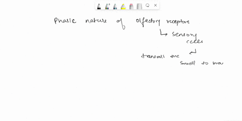 question-24-marked-ovt-of-00-you-can-smell-the-fragrance-of-your-deodorant-when-you-just-put-it-on-but-after-a-little-while-the-smell-fadeswhat-explains-this-phenomenon-select-one-asensory-p-80205